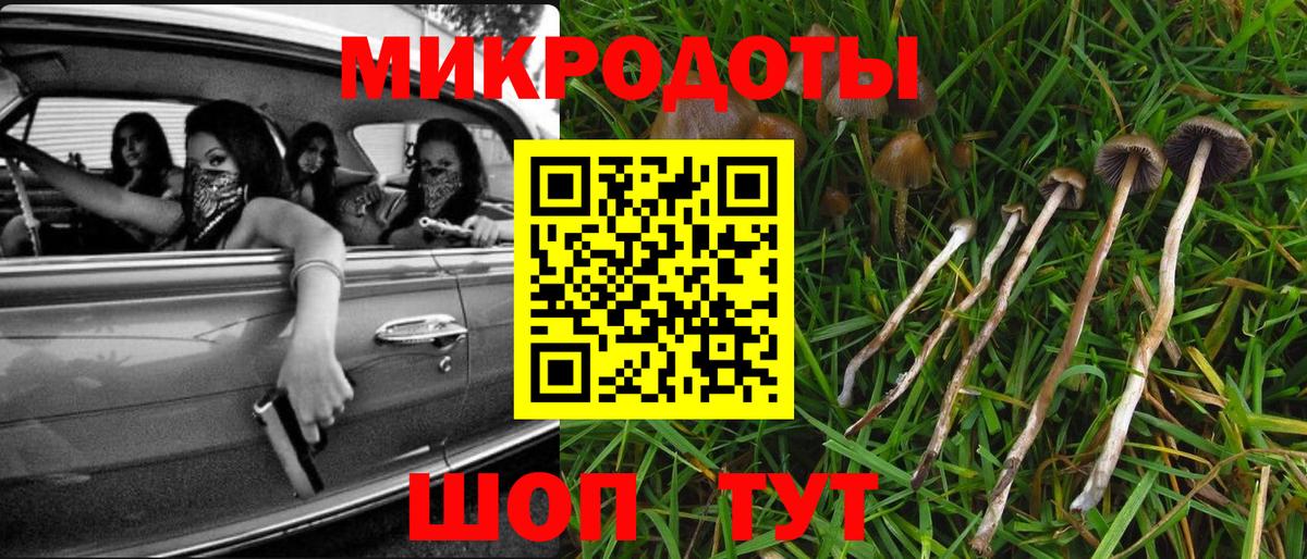 Галлюциногенные грибы MAGIC MUSHROOMS Менделеевск