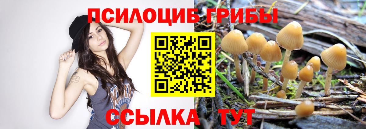 Галлюциногенные грибы GOLDEN TEACHER  Вход с VPN  Псилоцибиновые грибы Psilocybine cubensis  Менделеевск 